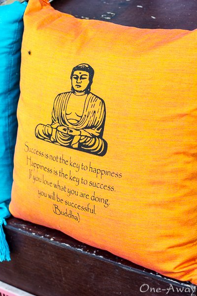 Monkey Forest Street Shop Buddha Says Pillow