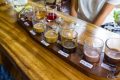 Kopi Luwak - Bali - AlamSari