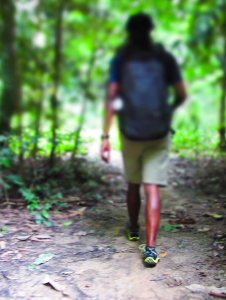 View from behind of myself walking into the forest.