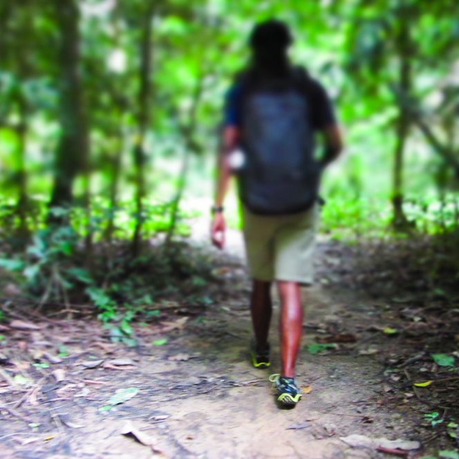 View from behind of myself walking into the forest.