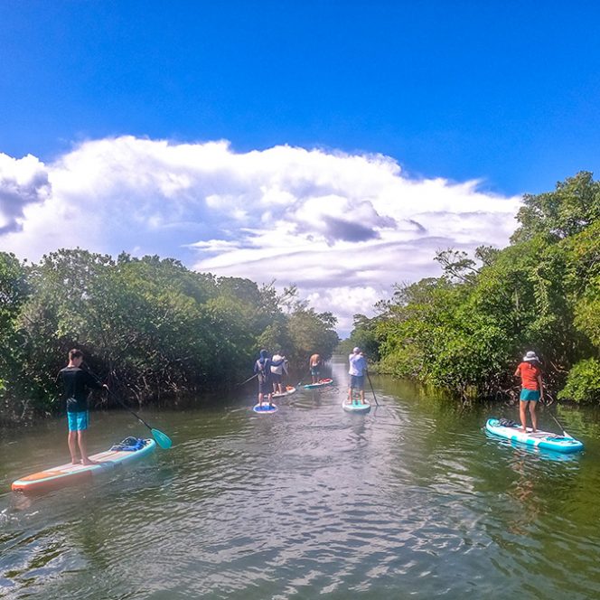 SUP-Stand-upPaddleboarding-Whiskey-Creek-Dania-Beach-FL