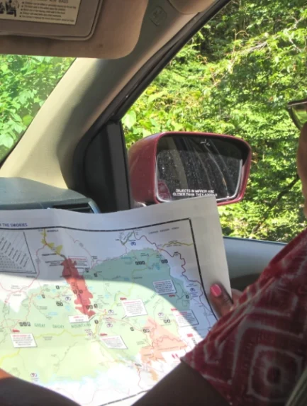 Photo of Mom using family travel resources ( a map) in the front seat of car.